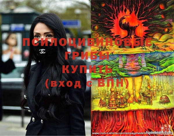 мяу мяу мука Осинники