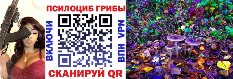купить наркотики цена  Арсеньев  Галлюциногенные грибы GOLDEN TEACHER 