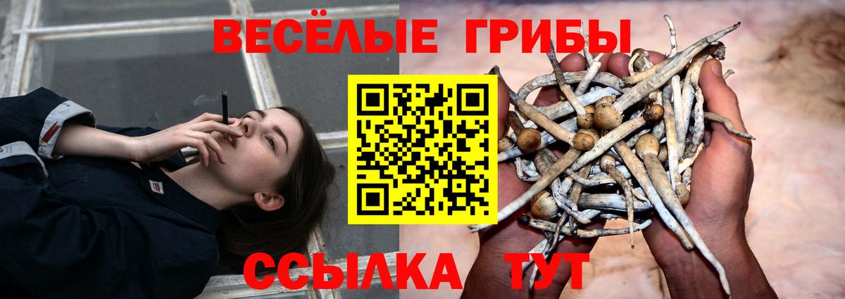 Галлюциногенные грибы MAGIC MUSHROOMS  Псилоцибиновые грибы MAGIC MUSHROOMS  Вход с VPN  как найти закладки  Арсеньев 